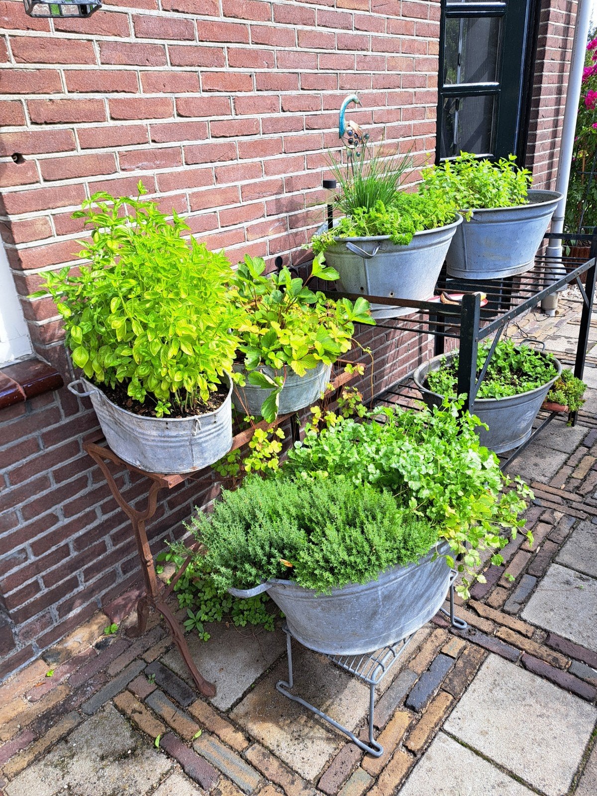 Zinken bakken voor moestuin of planten, Ophalen, Rond, Metaal, Minder dan 30 cm