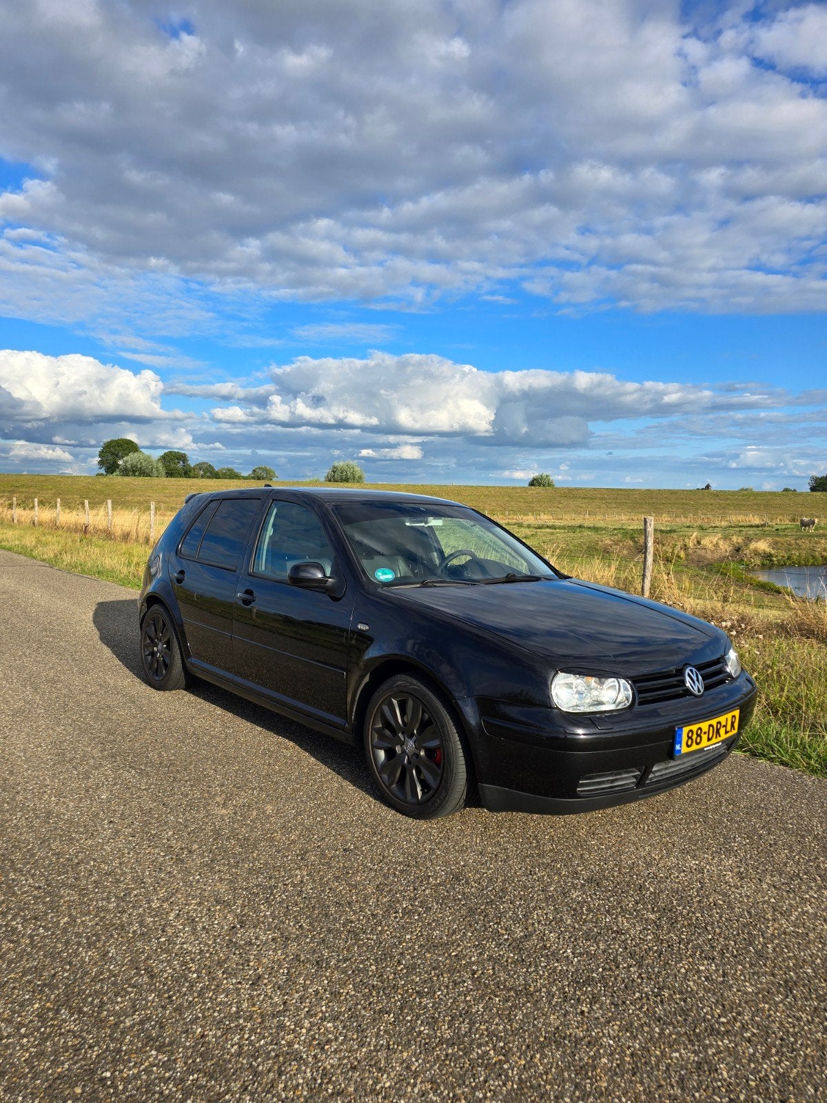 Volkswagen Golf 4, 2.0L, Ophalen
