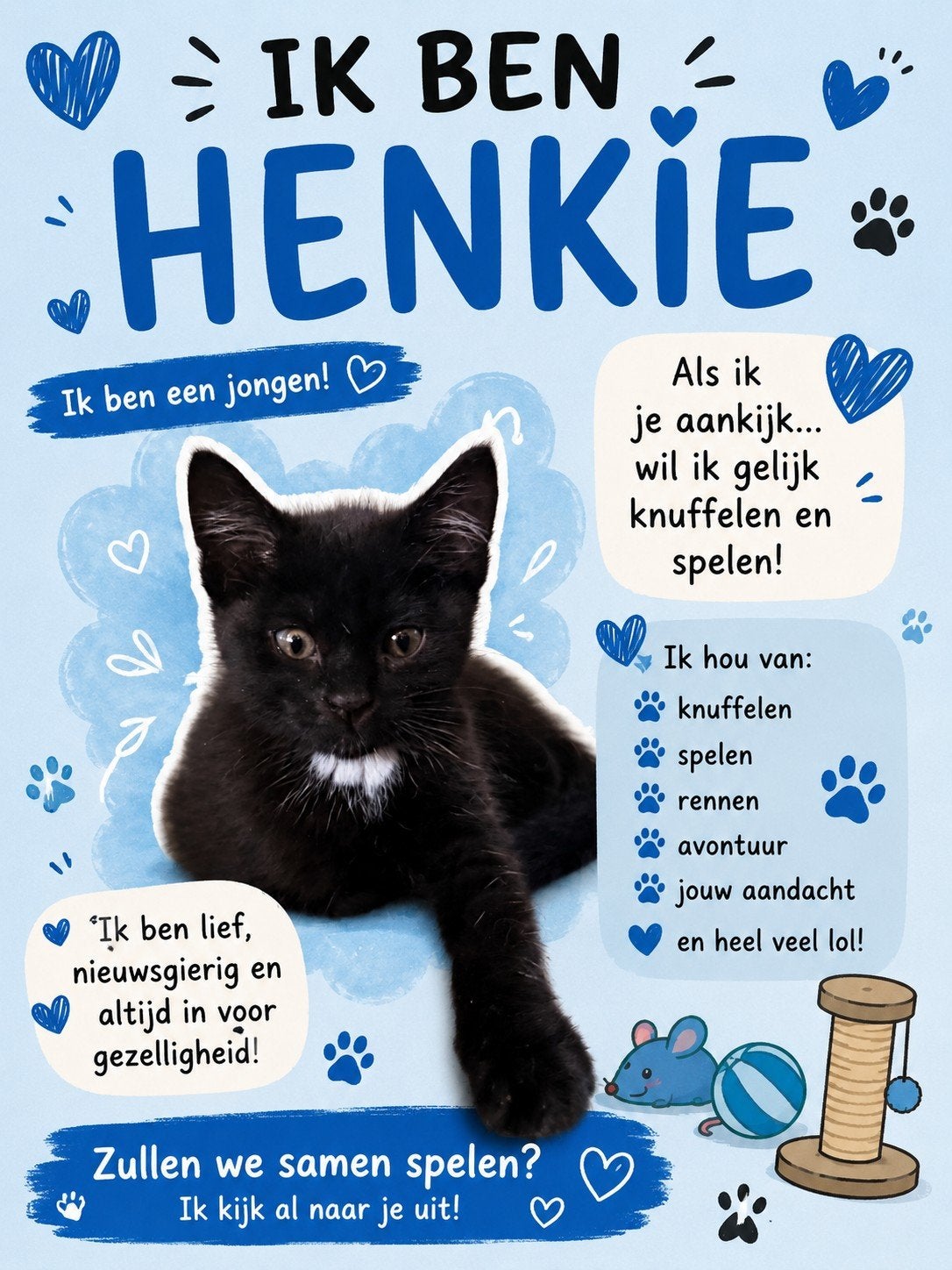 Wij  zoeken baasjes met een liefde vol hardje
