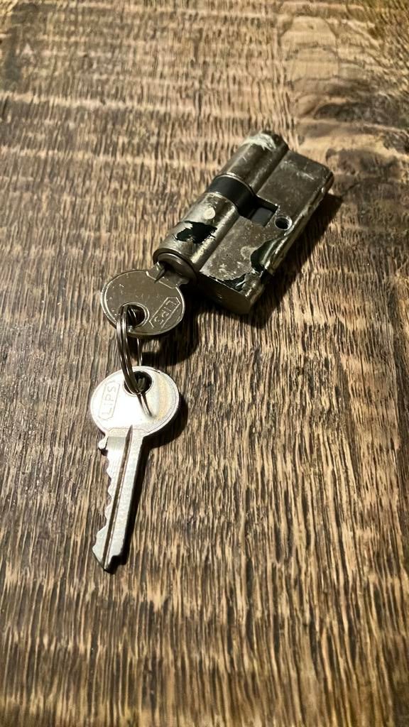 Lips cilinderslot met twee sleutels, Doe-het-zelf en Verbouw, Hang- en Sluitwerk, Ophalen of Verzenden, Rvs, Slot