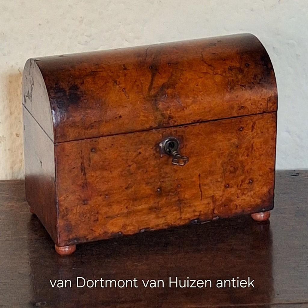 Wortelnoten theekist / teacaddy 19e eeuw., Ophalen of Verzenden