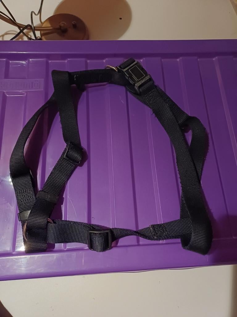 Hondentuig, Ophalen of Verzenden, Zo goed als nieuw, Hondenriem-accessoire