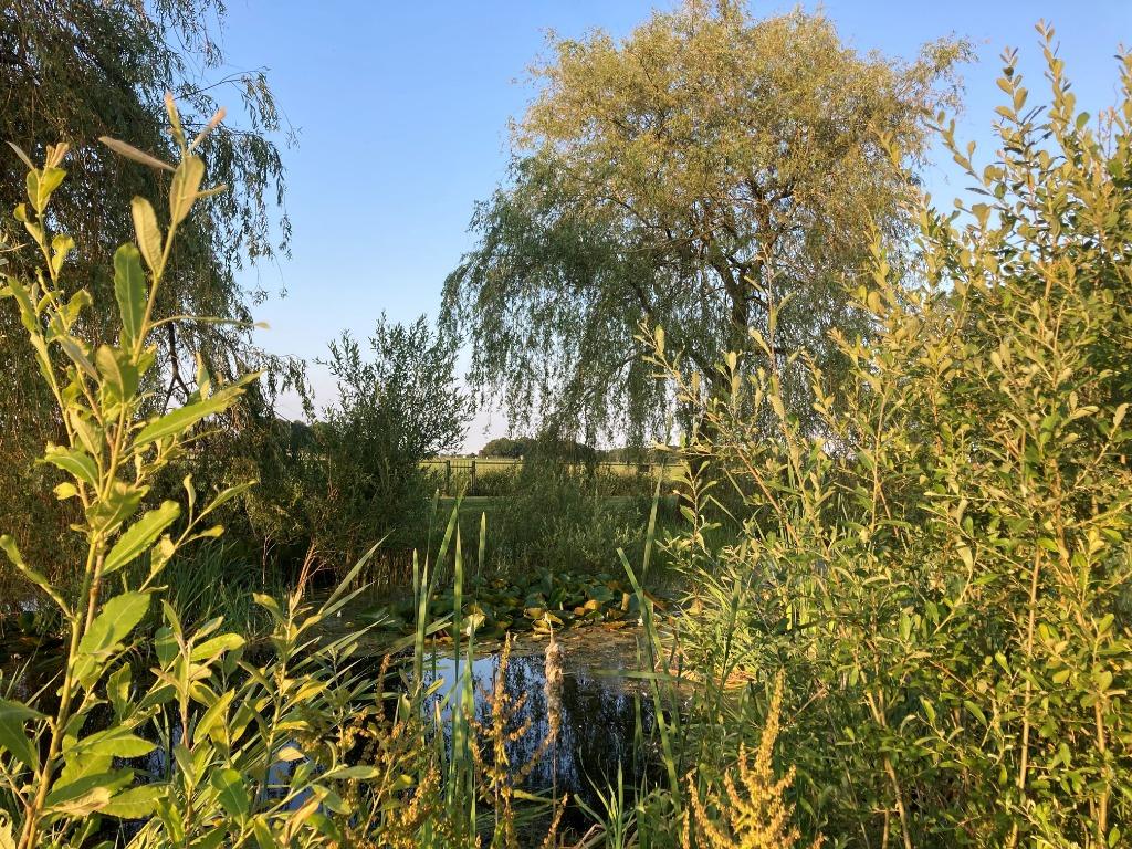 Vakantiewoning met volledig omheinde tuin en natuurvijver, Noord-Brabant, Overige typen, Wasmachine, Landelijk
