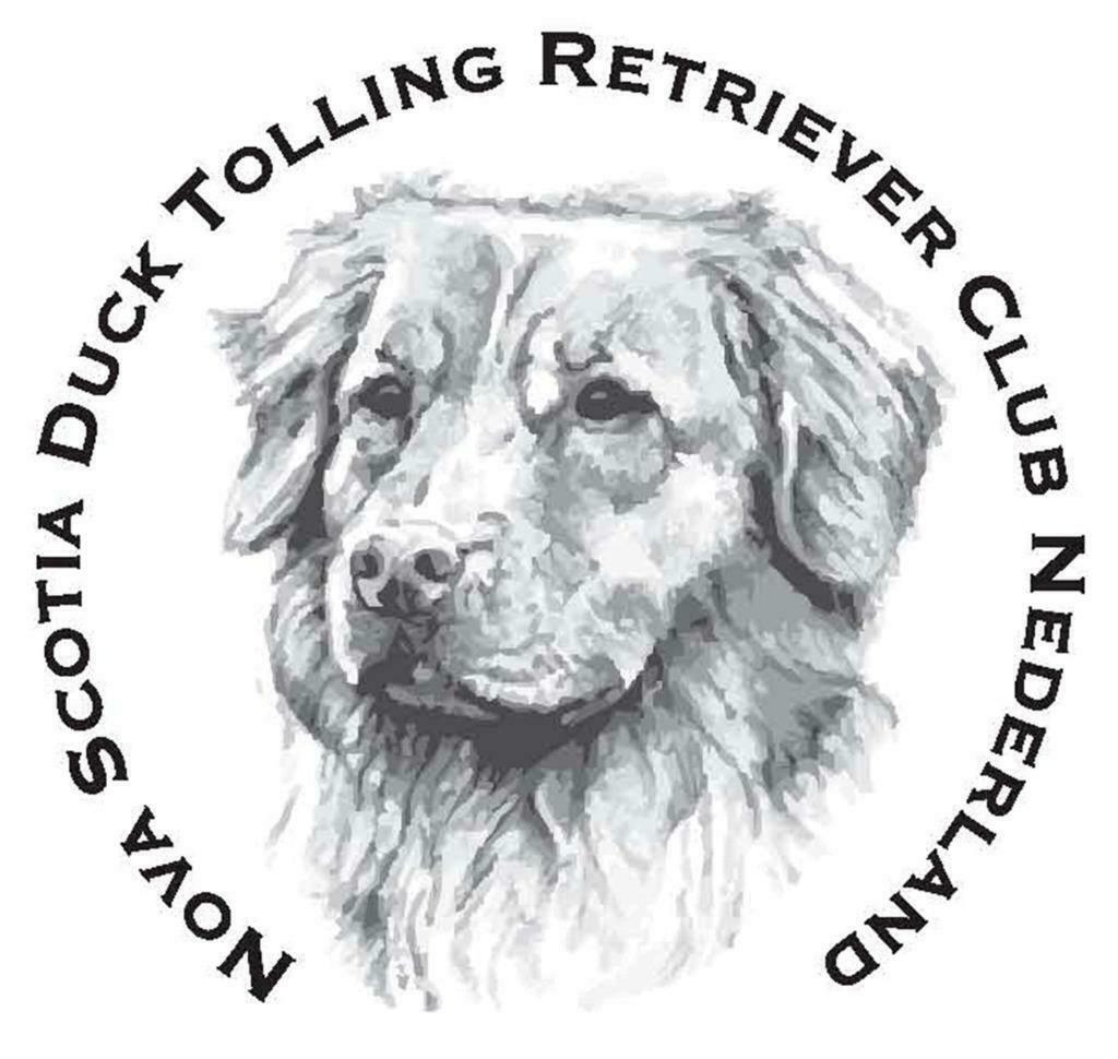Nova Scotia Duck Tolling Retriever (Toller) pups aangeboden, Overige rassen, 8 tot 15 weken, Meerdere, Meerdere dieren