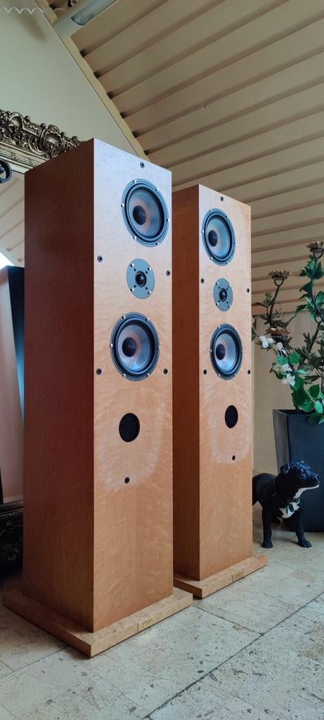 ProAc Response 3 Signature - Zuilspeaker Birds Eye Maple., Audio, Tv en Foto, Ophalen of Verzenden, 120 watt of meer, Front, Rear of Stereo speakers