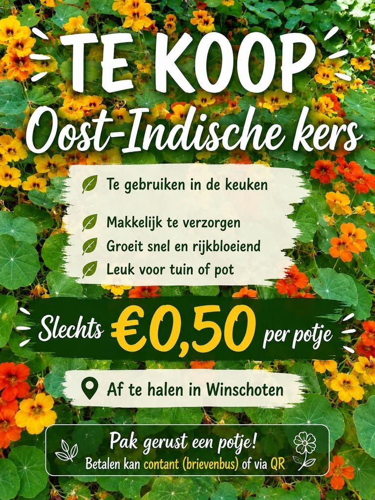 Oost-Indische kers - Vers en Makkelijk te Verzorgen, Ophalen