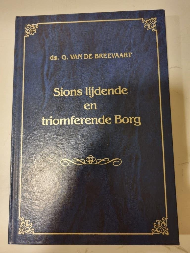 Ds. G. v.d. Breevaart. Sions lijd. en triomf Borg. 11 preken, Ophalen of Verzenden, Gelezen, Christendom | Protestants