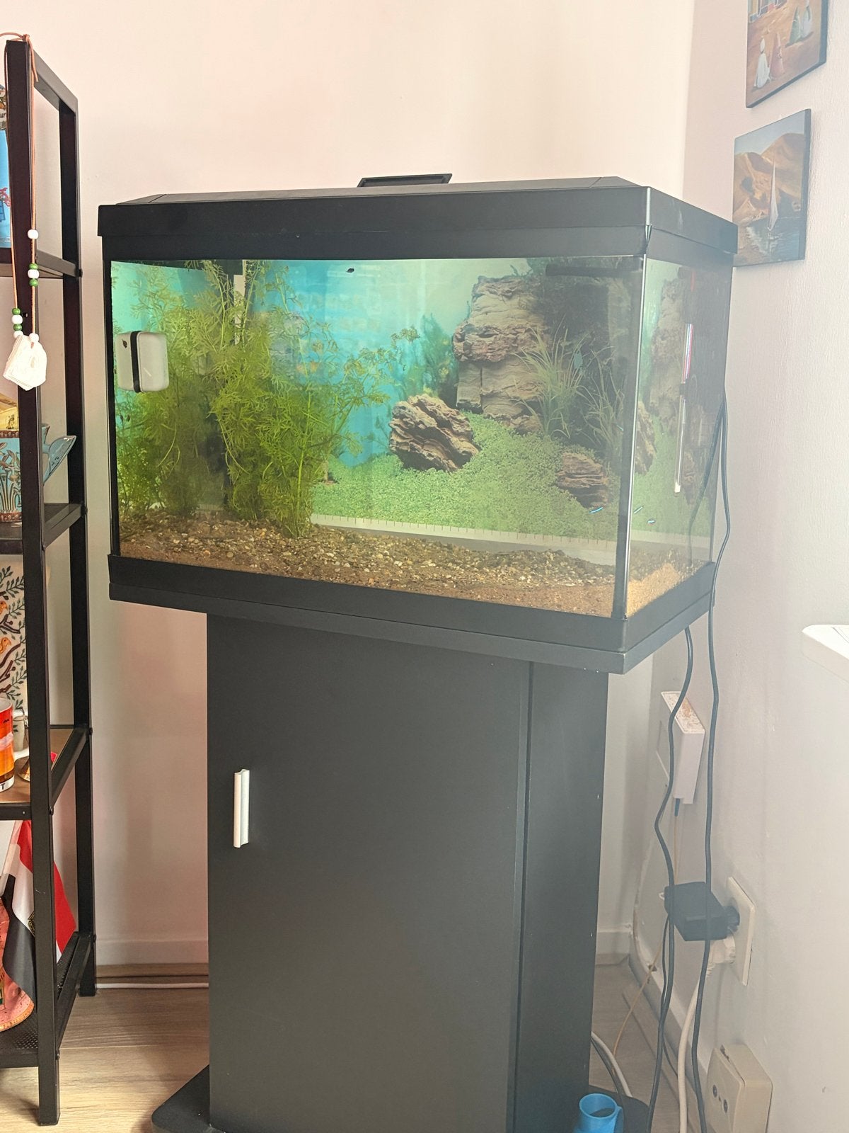 60 liter aquarium, Ophalen of Verzenden, Leeg aquarium