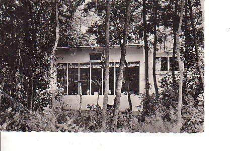 Ansichtkaart	Gorssel	Jong Amelte, Verzamelen, Ansichtkaarten | Nederland, Verzenden, 1960 tot 1980, Gelopen, Gelderland