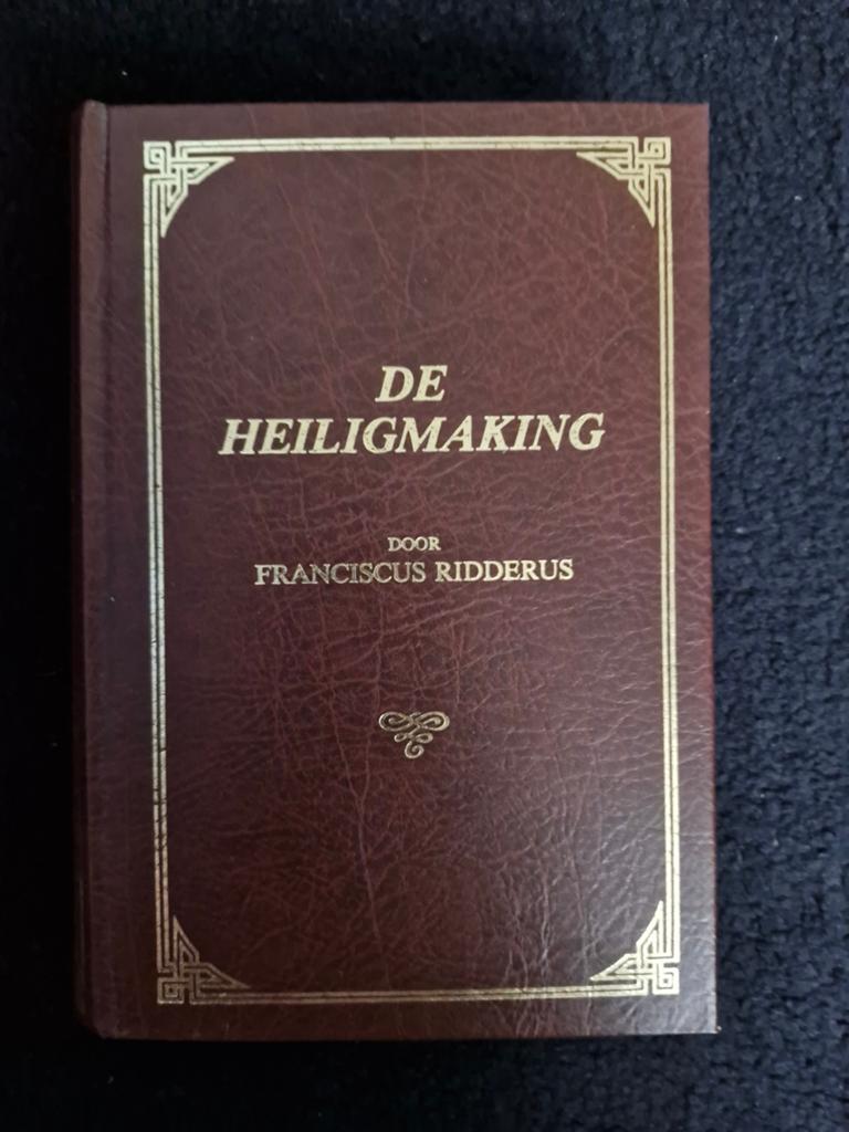 De Heiligmaking door Franciscus Ridderus, Boeken, Ophalen of Verzenden, Zo goed als nieuw, Franciscus Ridderus, Christendom | Protestants