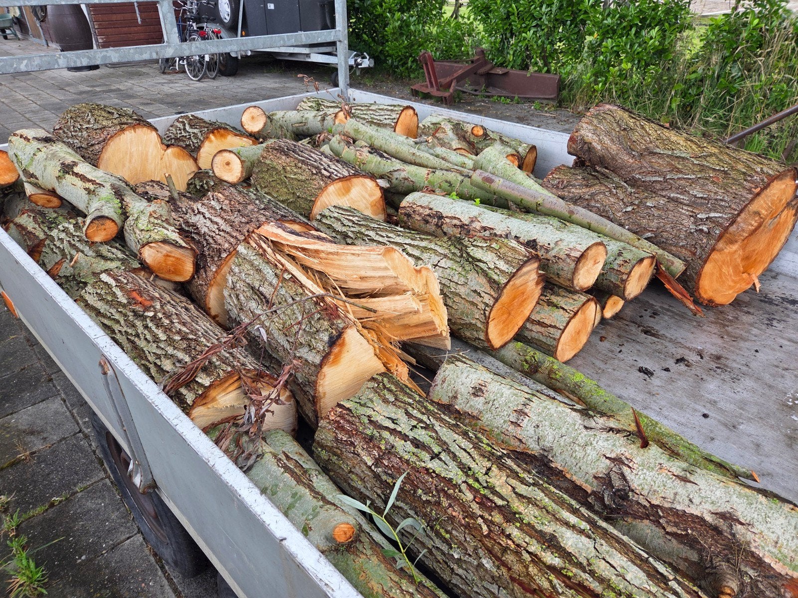 Vers gekapt hout - Diverse houtsoorten, Tuin en Terras, Minder dan 3 m³, Ophalen, Overige houtsoorten, Blokken