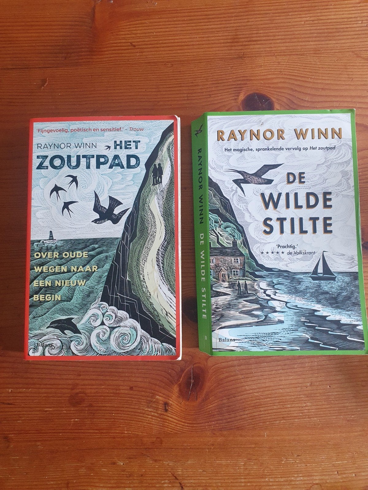 Het Zoutpad & De Wilde Stilte - Raynor Winn (Boeken), Ophalen of Verzenden, Zo goed als nieuw, Raynor Winn, Nederland