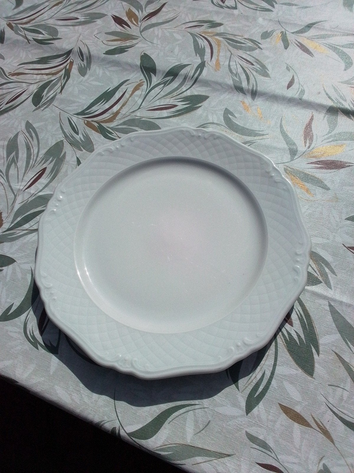 Diner borden  12 x, Ophalen of Verzenden