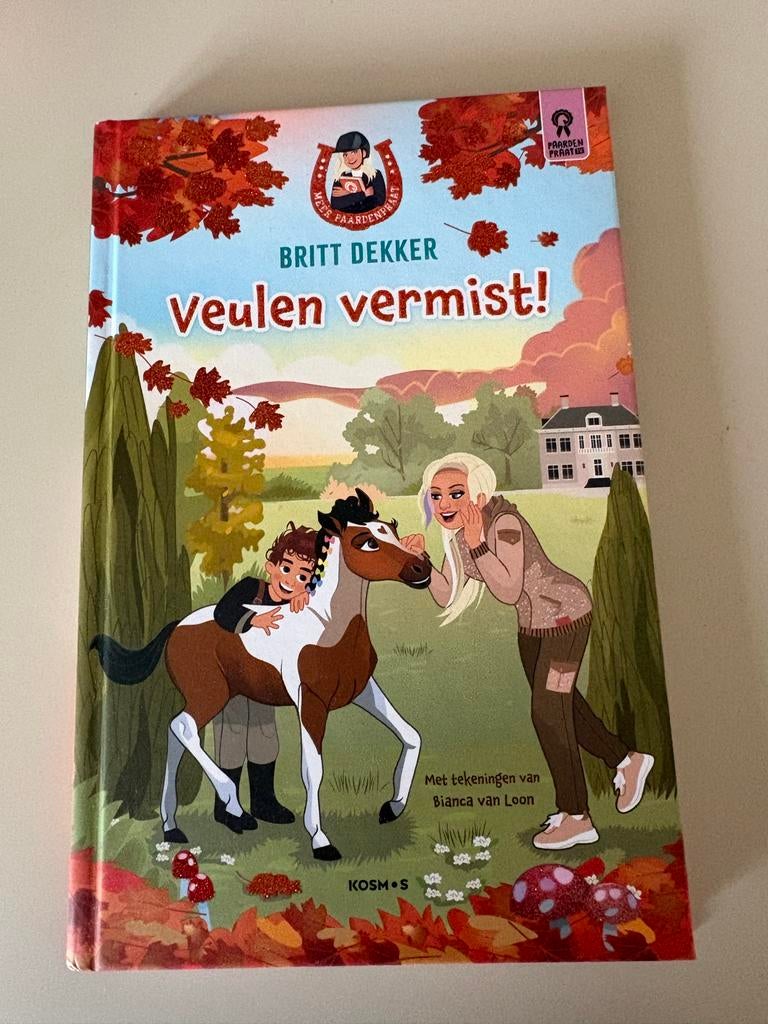 Paardenboeken: Britt Dekker, Heartland - Samen voor €10,-, Boeken, Ophalen of Verzenden, Gelezen, Fictie algemeen