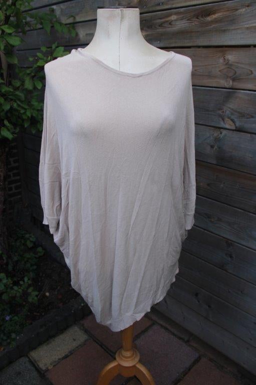 Trui beige Maxmara mt L A-sym Vaste prijs, Kleding | Dames, Beige, Ophalen of Verzenden, Zo goed als nieuw, Maat 42/44 (L)