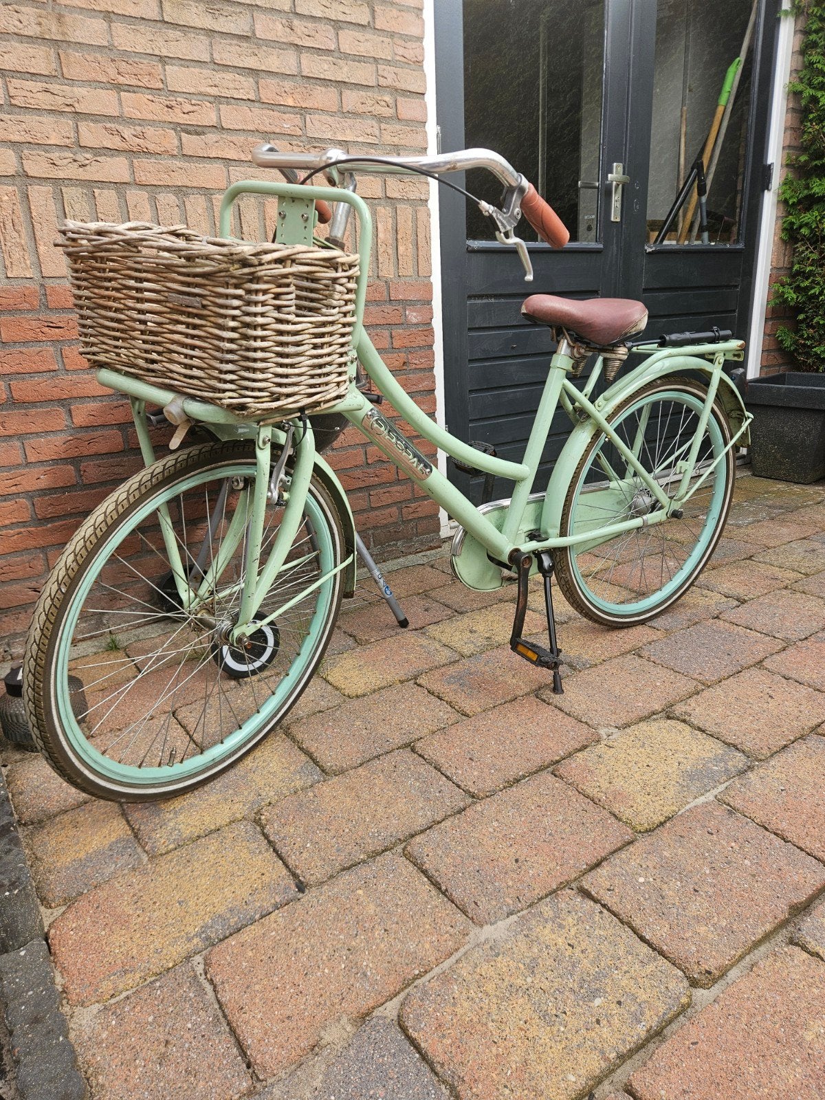 meisjes fiets met mand 20 inch, Fietsen en Brommers, Fietsen | Dames | Damesfietsen, Ophalen, Terugtraprem, Gebruikt, Batavus