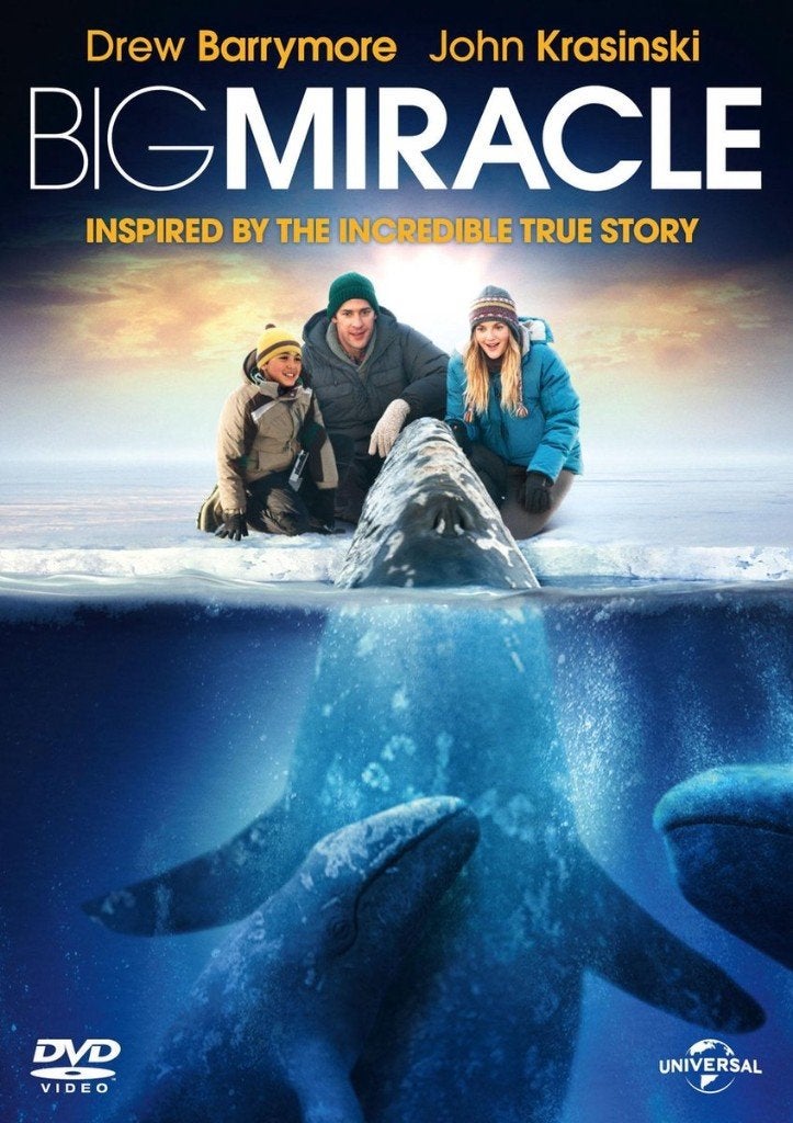 DVD Big Miracle (met John Krasinski, Drew Barrymore etc), Alle leeftijden, Nederlands, Ophalen of Verzenden, Gebruikt