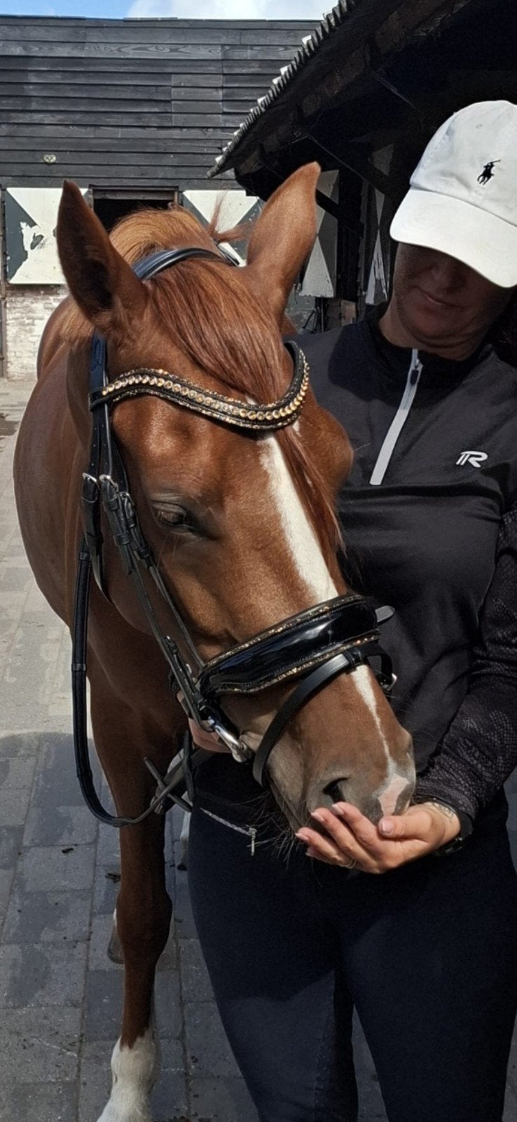 Super lieve bomproof D sportpony te koop
(FS Next Diamon X R, Merrie, Met stamboom, Dressuurpony, 3 tot 6 jaar