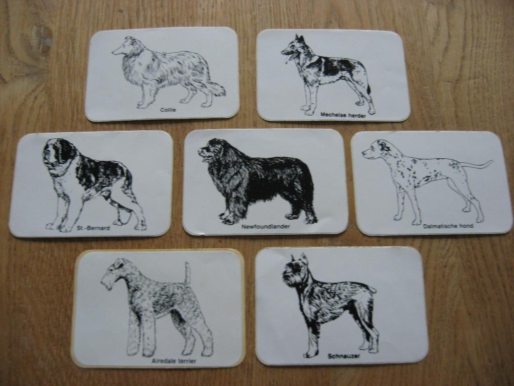 Verschillende Honden Rassen Vintage Stickers, Verzamelen, Ophalen, Nieuw, Dier en Natuur
