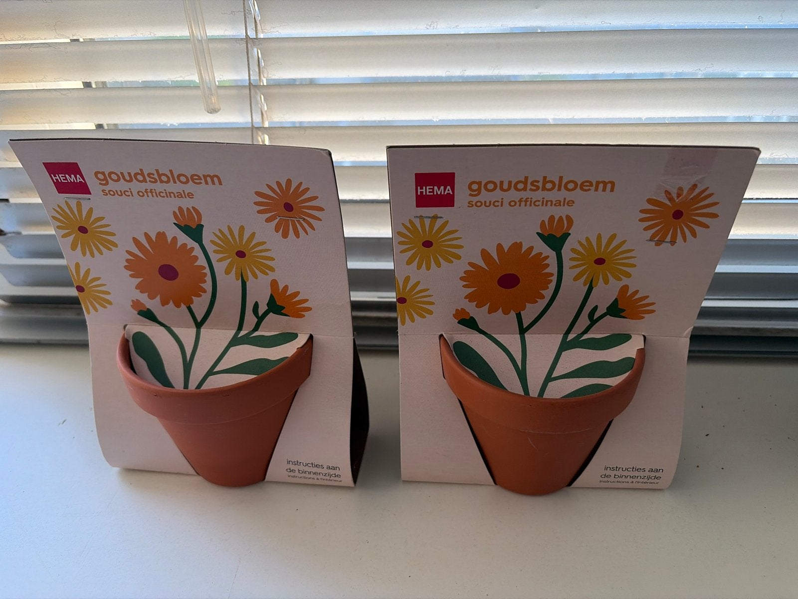 Hema Goudsbloem Kweeksetje - Souci Officinale, Ophalen of Verzenden, Voorjaar, Volle zon, Zaad