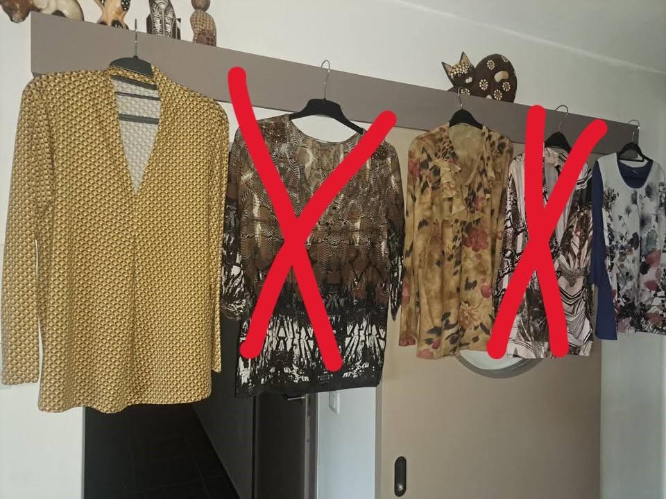 Blouses XL, Damart, e.a, Bruin, Maat 46/48 (XL) of groter, Ophalen of Verzenden, Zo goed als nieuw