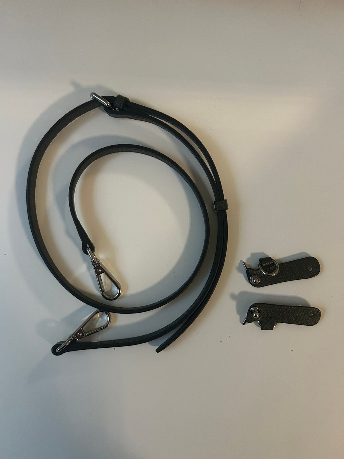 Longchamp band, Sieraden, Tassen en Uiterlijk, Tassen | Damestassen, Ophalen of Verzenden