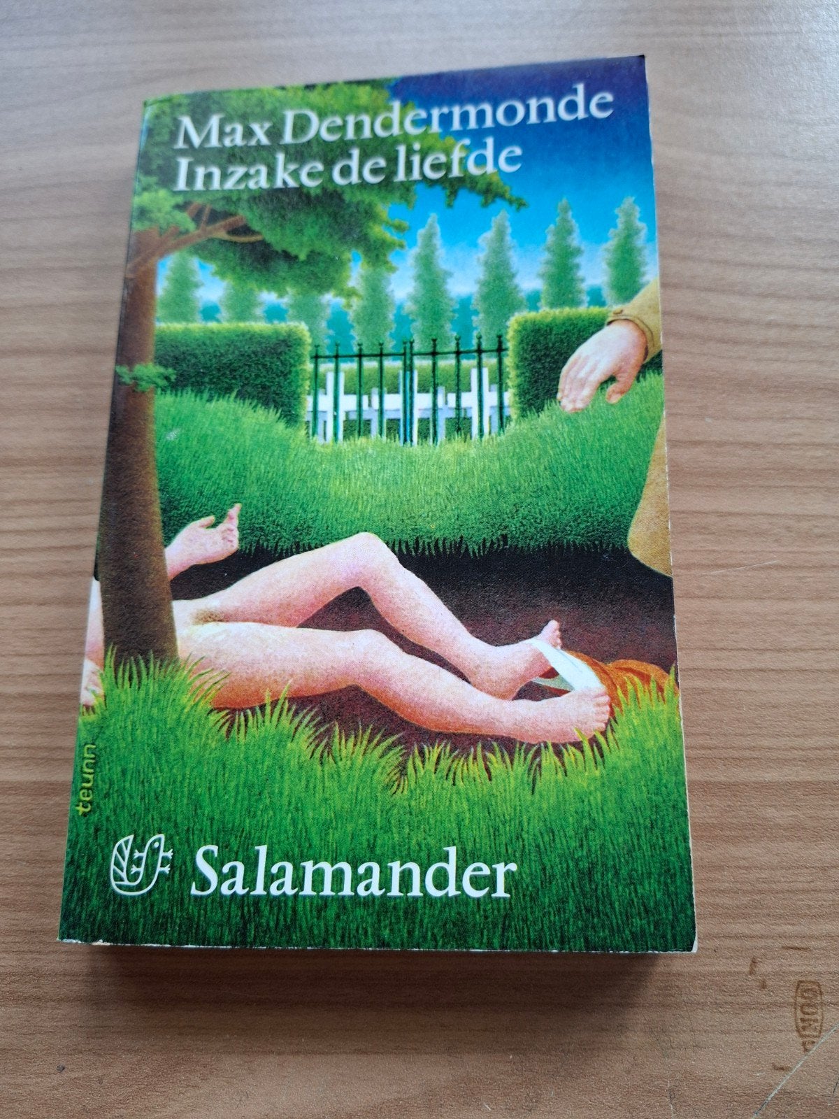 Max Dendermonde. Inzake de liefde., Ophalen of Verzenden, Zo goed als nieuw