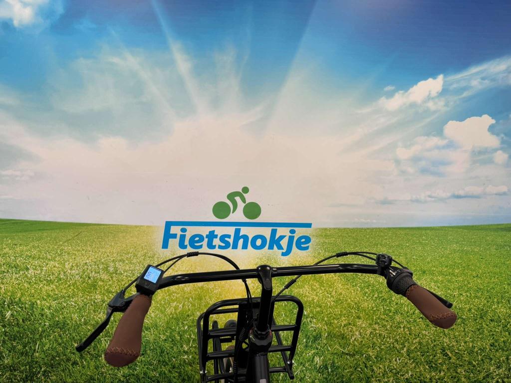 Fietshokje Amersfoort: Nieuwe Raaks Hudson E-Bike N3 H50, Niet ingevuld, Nieuw, Ophalen of Verzenden, 47 tot 51 cm