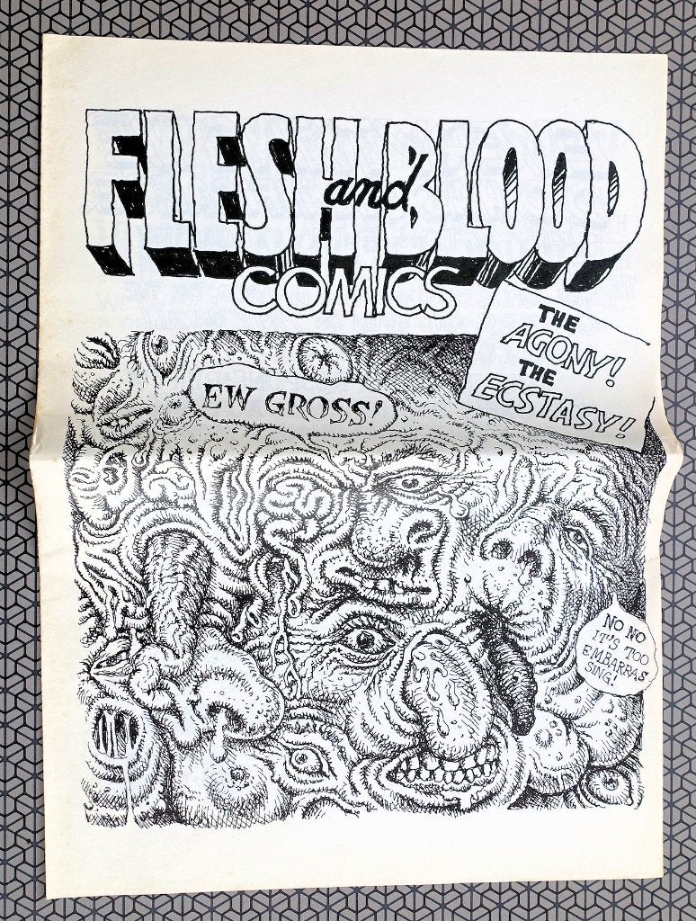 Robert Crumb 2008 Flesh and Blood Comics, Boeken, Strips | Comics, Eén comic, Ophalen of Verzenden, Gelezen, Amerika