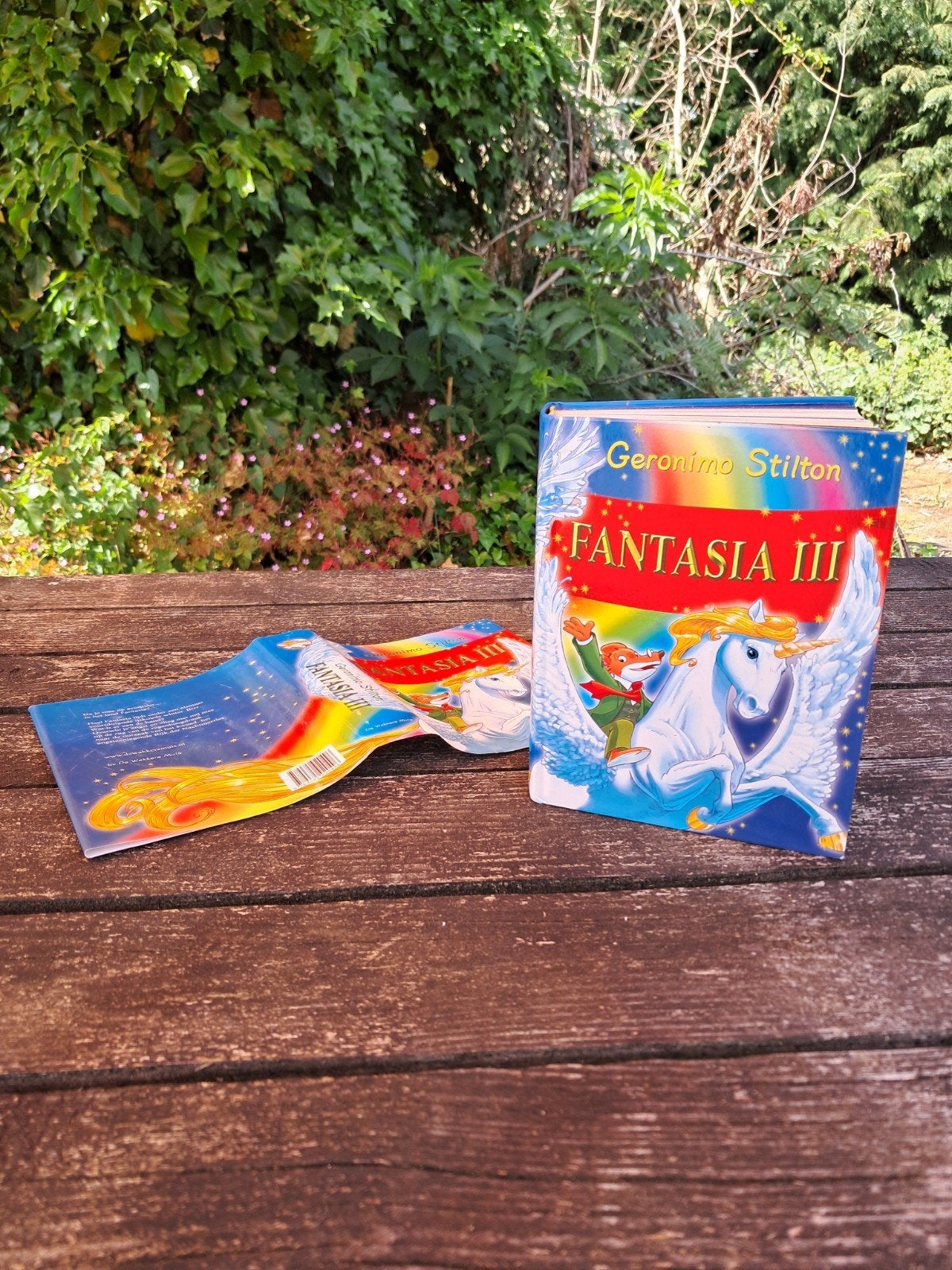 Fantasia III leesboek Geronimo Stilton, Boeken, Kinderboeken | Jeugd | 10 tot 12 jaar, Ophalen, Zo goed als nieuw, Geronimo Stilton.