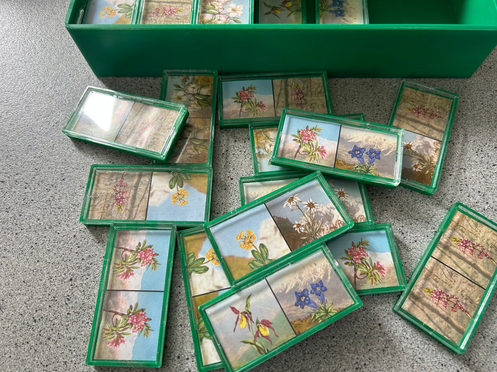 Bergblumen-Domino - Vintage Bloemen Domino Spel, Ophalen of Verzenden, Gebruikt, Puzzelen