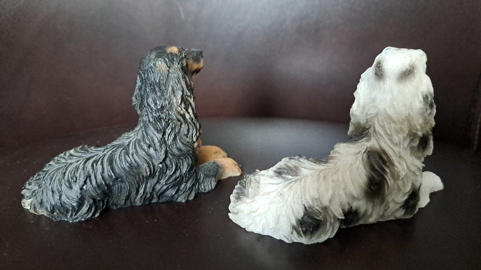 Engelse Setter en Gordon setter, setter mode zie beschrijvin, Ophalen of Verzenden