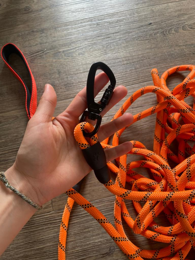Dog Leash very long 20m, Ophalen of Verzenden, Nieuw, Hondenriem