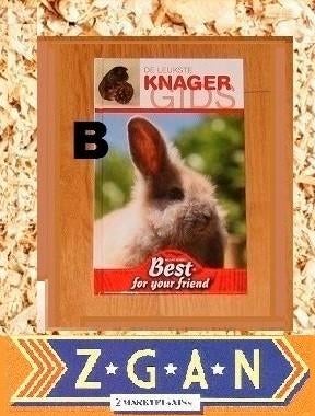 De leukste knaagdieren gids, Ophalen of Verzenden, Zo goed als nieuw, Konijnen of Knaagdieren