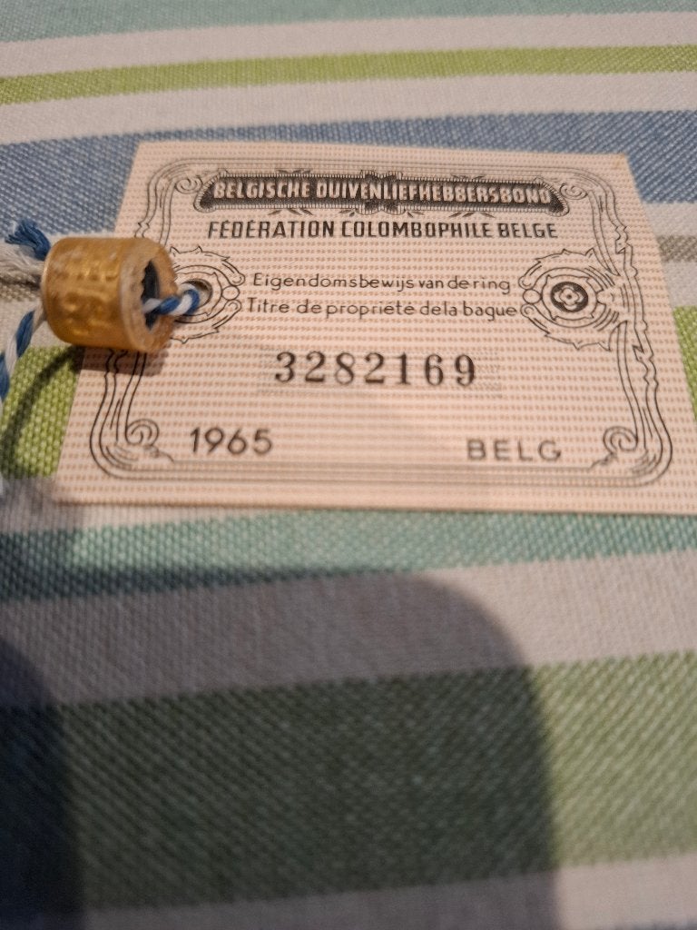 Ring 1965 belg, Mannelijk