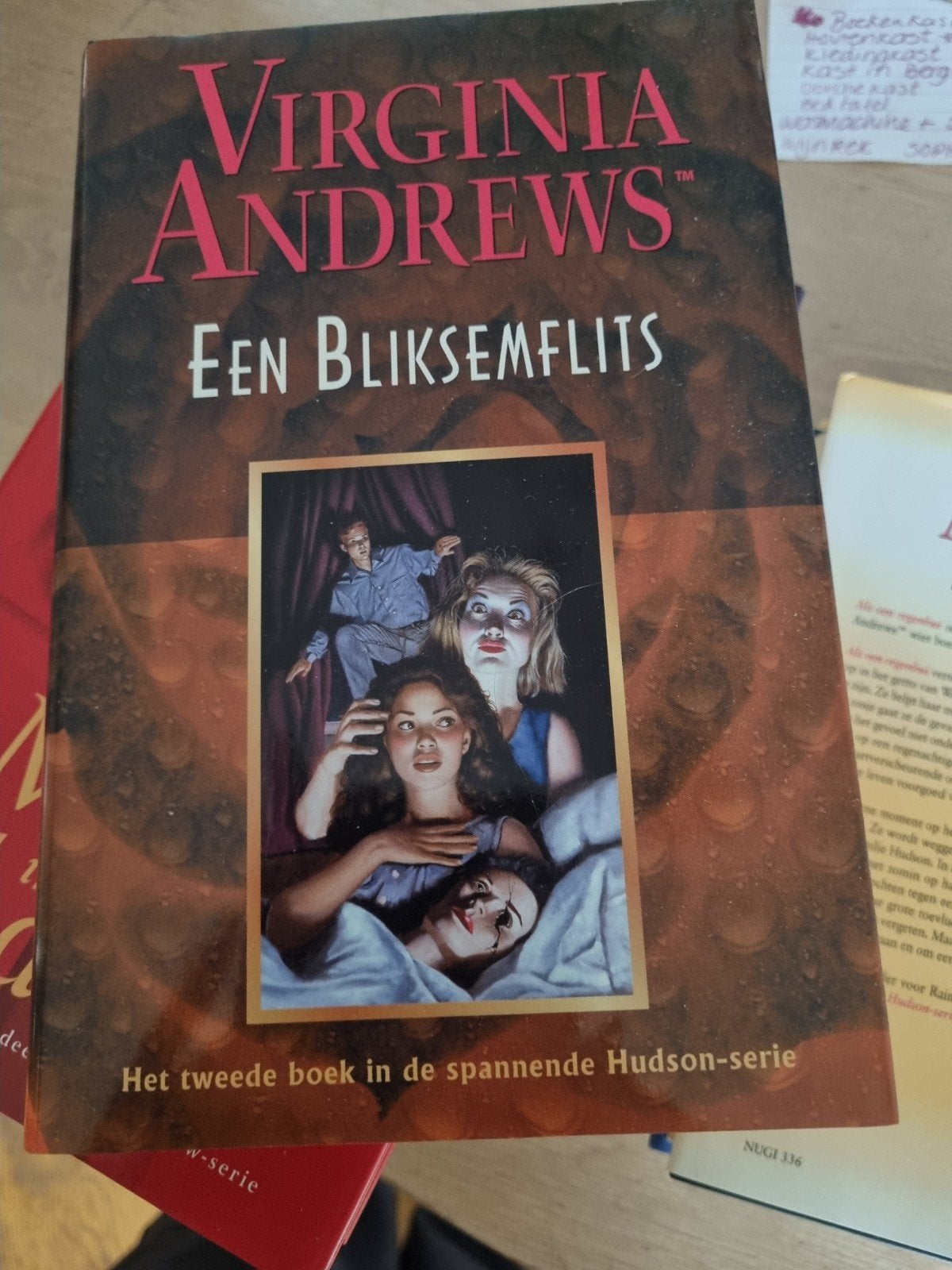 Een Bliksemflits - Virginia Andrews (Hudson-serie), Ophalen of Verzenden, Gelezen, Virginia Andrews