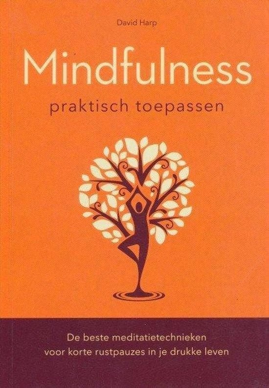 David Harp Mindfulness Praktisch toepassen, Ophalen of Verzenden, Nieuw, Overige typen