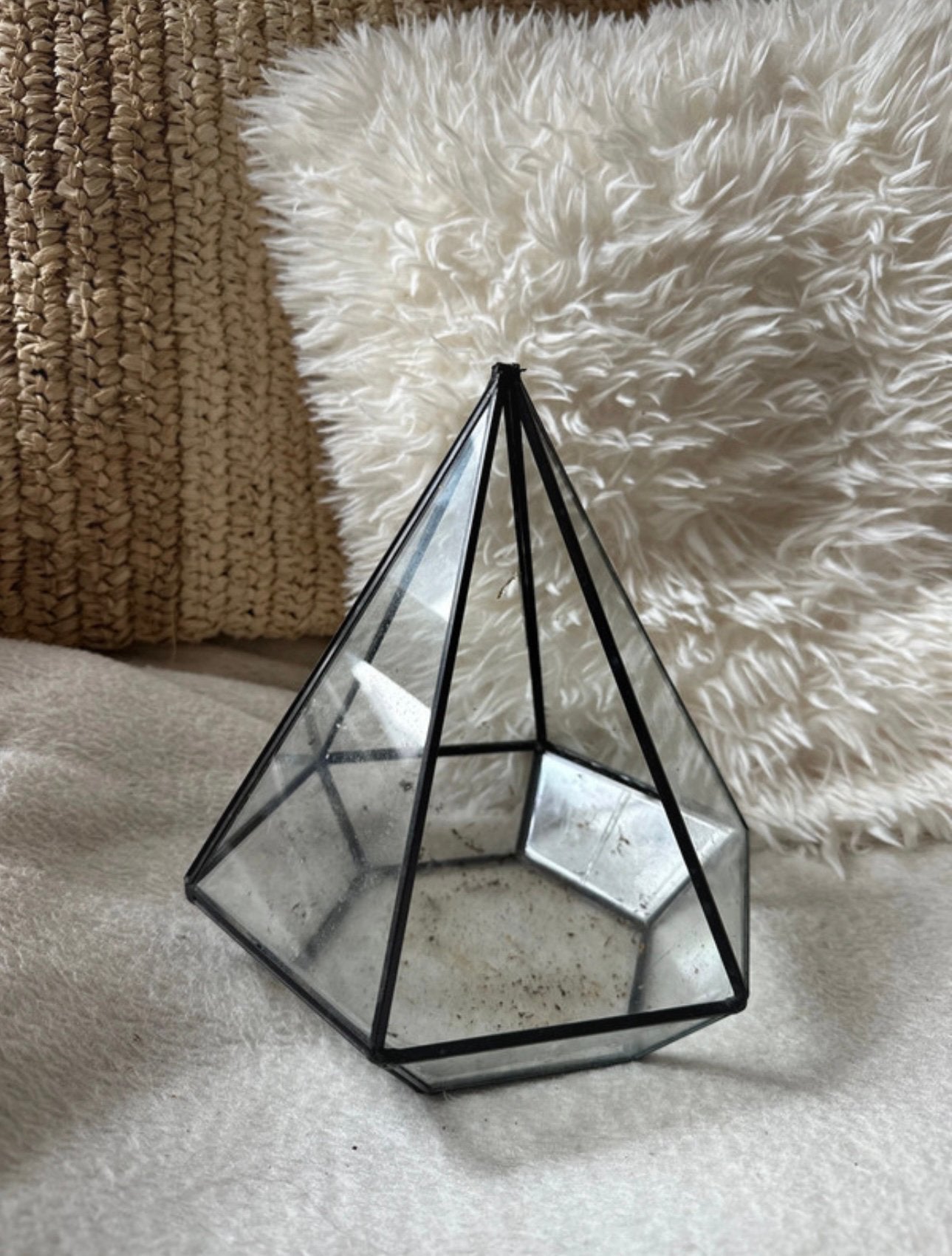 Geometrisch piramide terrarium met een zwart metalen frame, Zwart, Ophalen of Verzenden, Zo goed als nieuw, Metaal