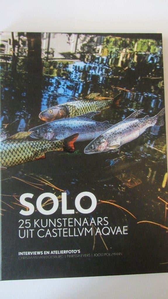 Haarlem, Solo, 25 kunstenaars uit Castellvmaqvae, Ophalen of Verzenden, Zo goed als nieuw