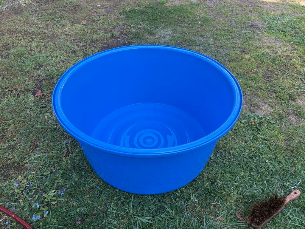 Grote Koi bowl, Karper of Koi
