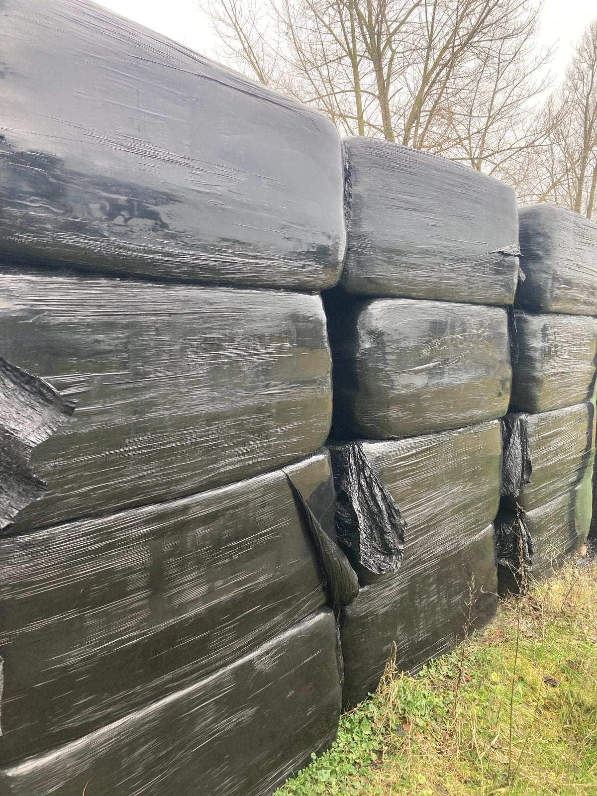 Natuurgras/hooi. Nu voordelig van het land !!, Dieren en Toebehoren, Ophalen, Vee