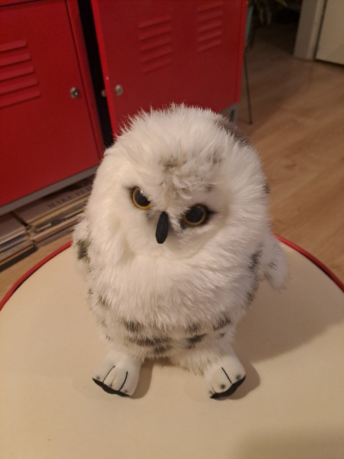 Nieuwe Oehoe knuffel - 23 cm - Artis Amsterdam, Kinderen en Baby's, Speelgoed | Knuffels en Pluche, Overige merken, Overige typen