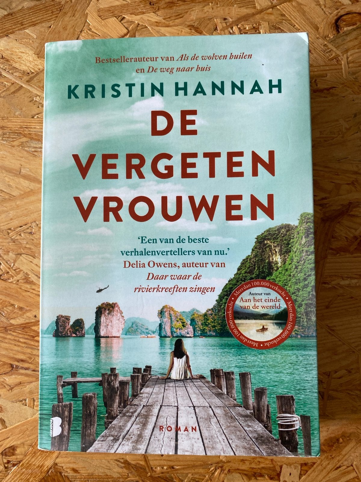 De Vergeten Vrouwen - Kristin Hannah (Roman), Ophalen of Verzenden, Zo goed als nieuw, Nederland