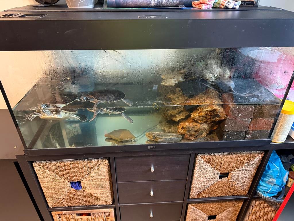 Aquarium, Dieren en Toebehoren, Vissen | Aquaria en Toebehoren, Ophalen, Zo goed als nieuw, Leeg aquarium