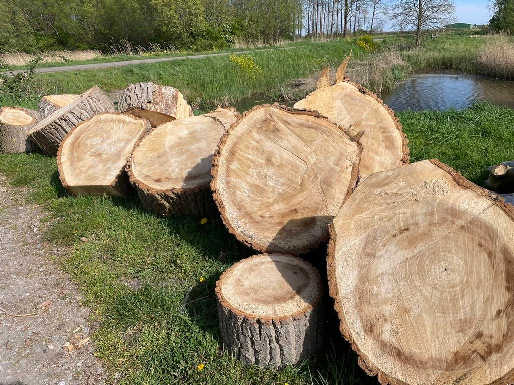 Houtschijven voor houtbewerking of haardhout, Tuin en Terras, Haardhout, 6 m³ of meer, Ophalen, Overige houtsoorten, Blokken