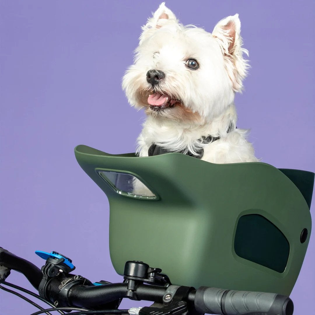 Kvips Hondenfietszitje - Voor kleine en middelgrote honden, Ophalen, Zo goed als nieuw, Hondenkar, Minder dan 20 kg