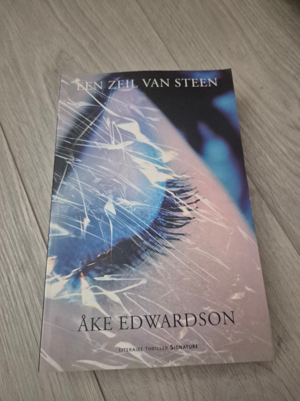 Een Zeil Van Steen - Åke Edwardson (Literaire Thriller), Ophalen of Verzenden, Zo goed als nieuw, Åke Edwardson, Scandinavië