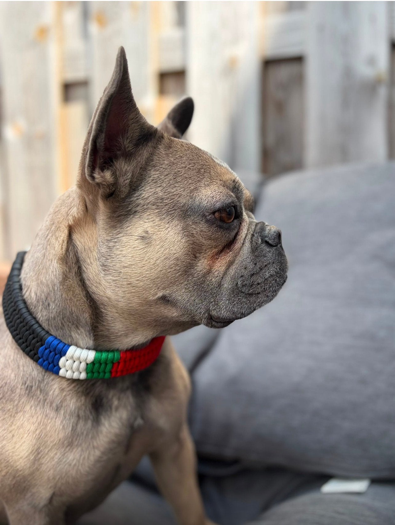 Maluku hondenhalsband handmade met plastic clip, Dieren en Toebehoren, Ophalen of Verzenden, Handgemaakt, Nieuw