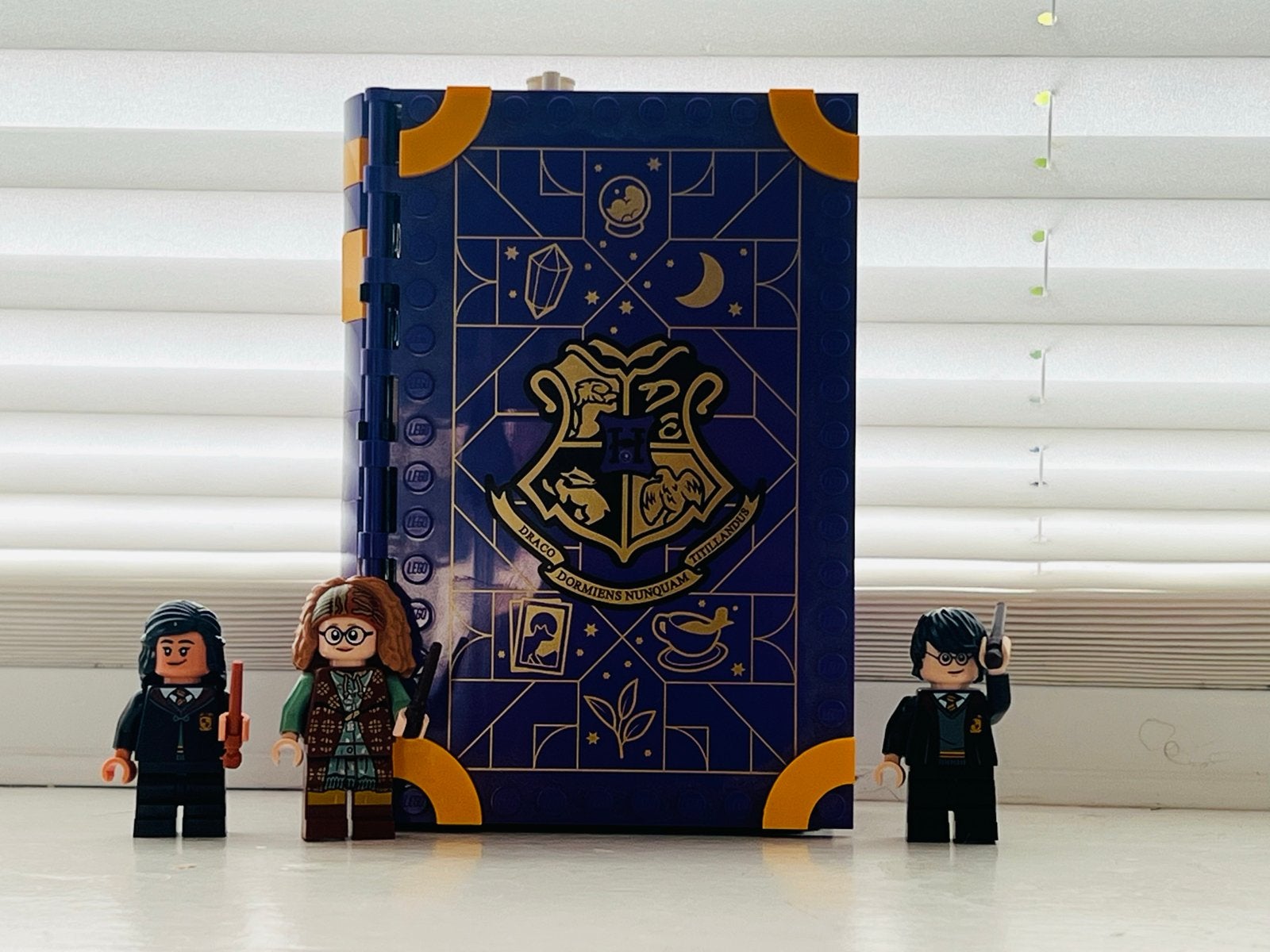 LEGO Zweinstein Moment: Waarzeggerijles 76396, Ophalen, Zo goed als nieuw, Overige merken