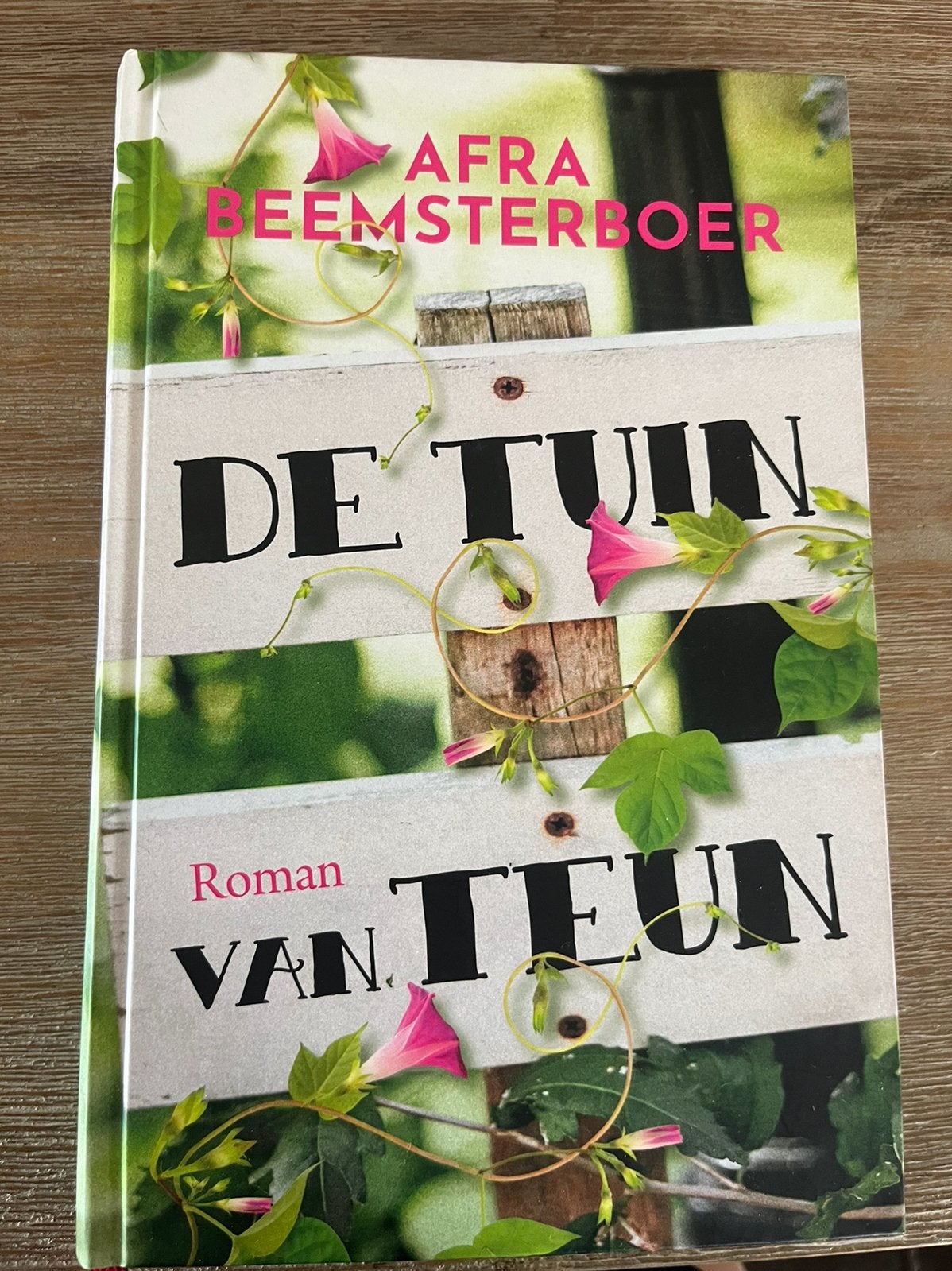 Afra Beemsterboer - De tuin van Teun, Noord-Brabant, Ophalen of Verzenden, Zo goed als nieuw, Afra Beemsterboer